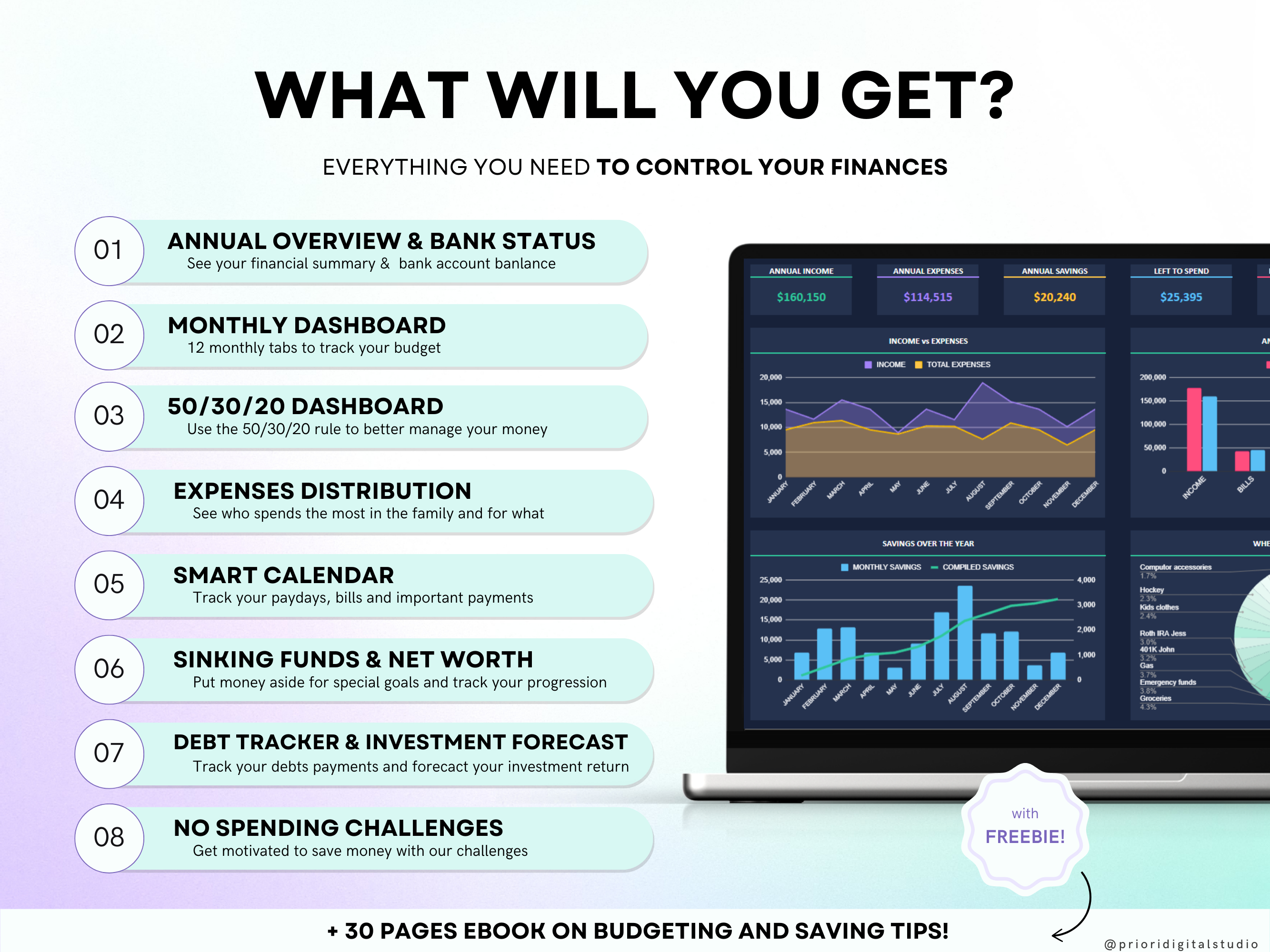 Premium Annual Family Budget