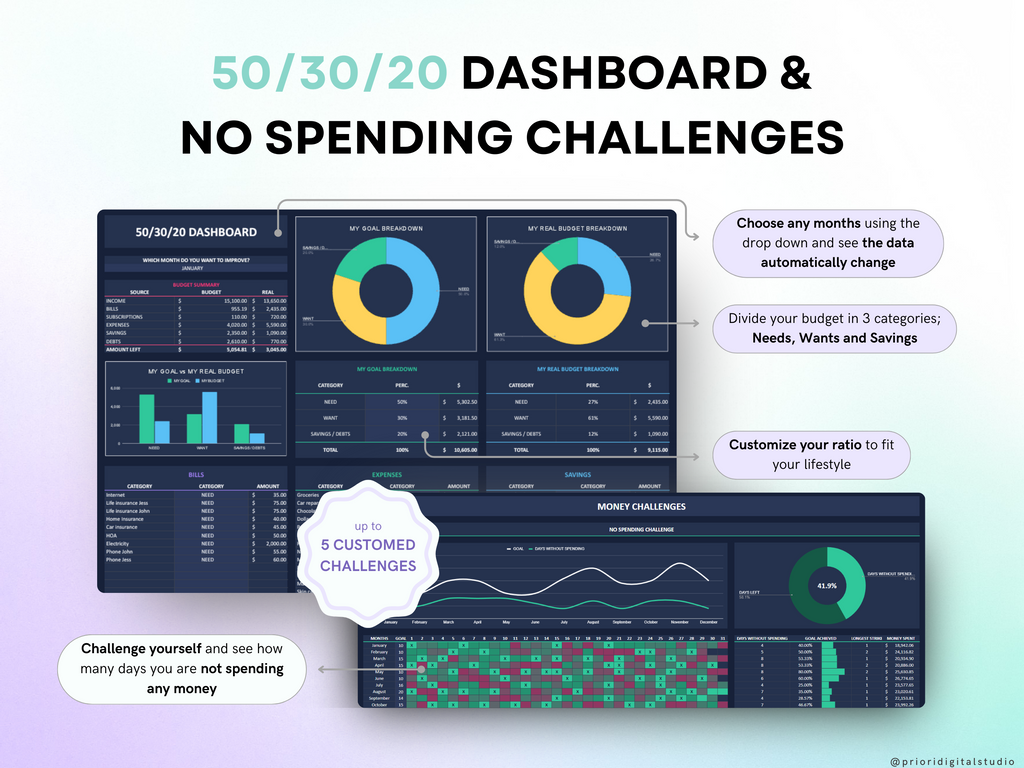 Premium Annual Family Budget