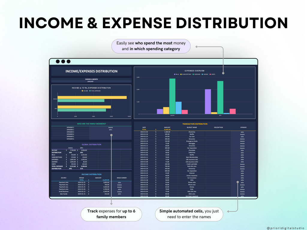 Premium Annual Family Budget
