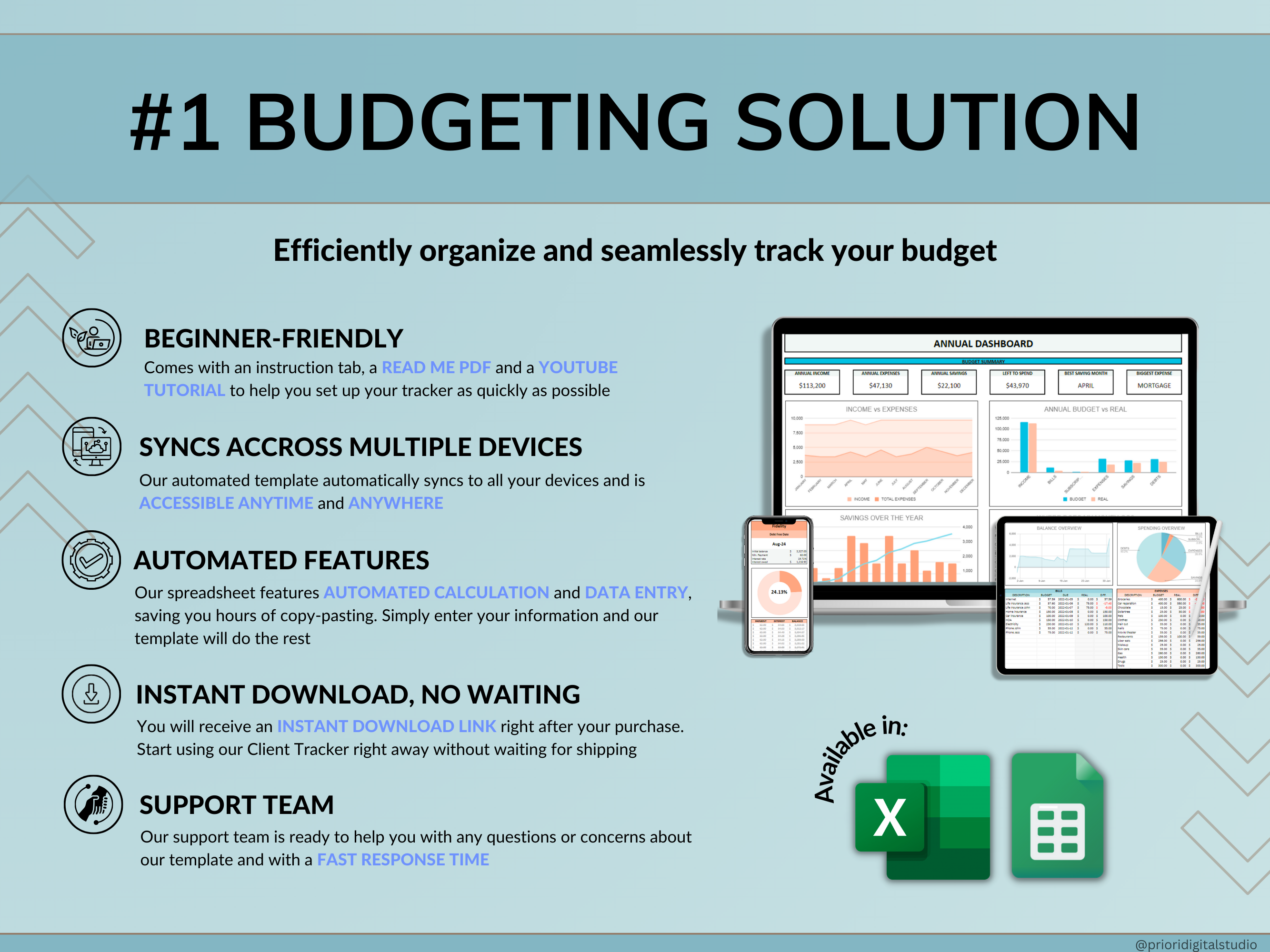 Premium Annual Family Budget