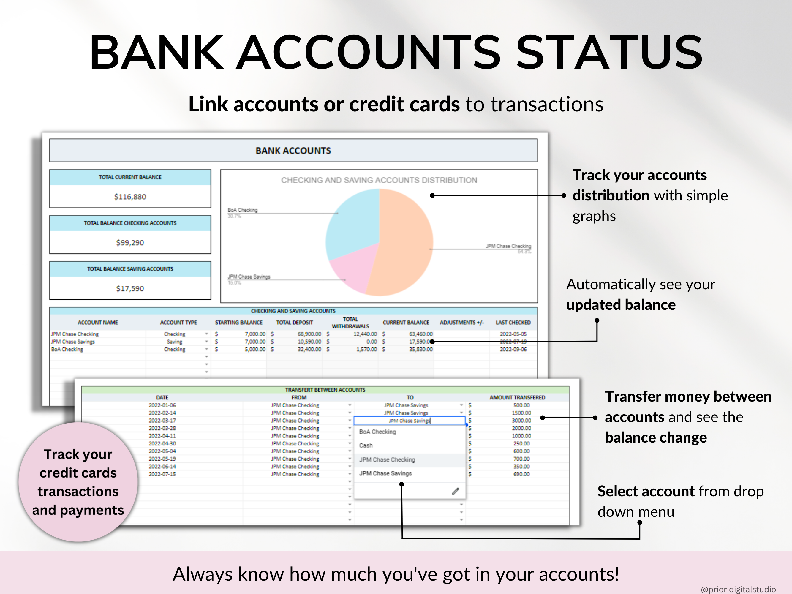 Premium Annual Family Budget