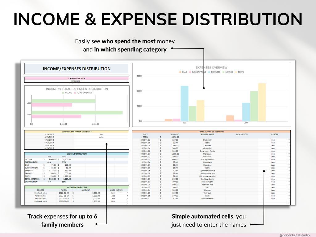 Premium Annual Family Budget