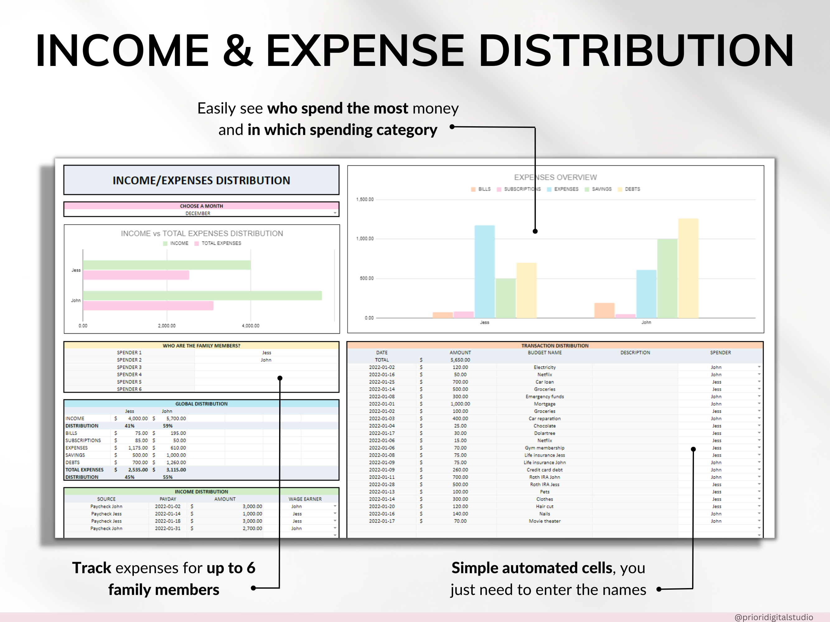 Premium Annual Family Budget