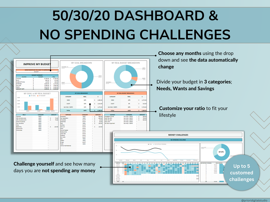 Premium Annual Family Budget