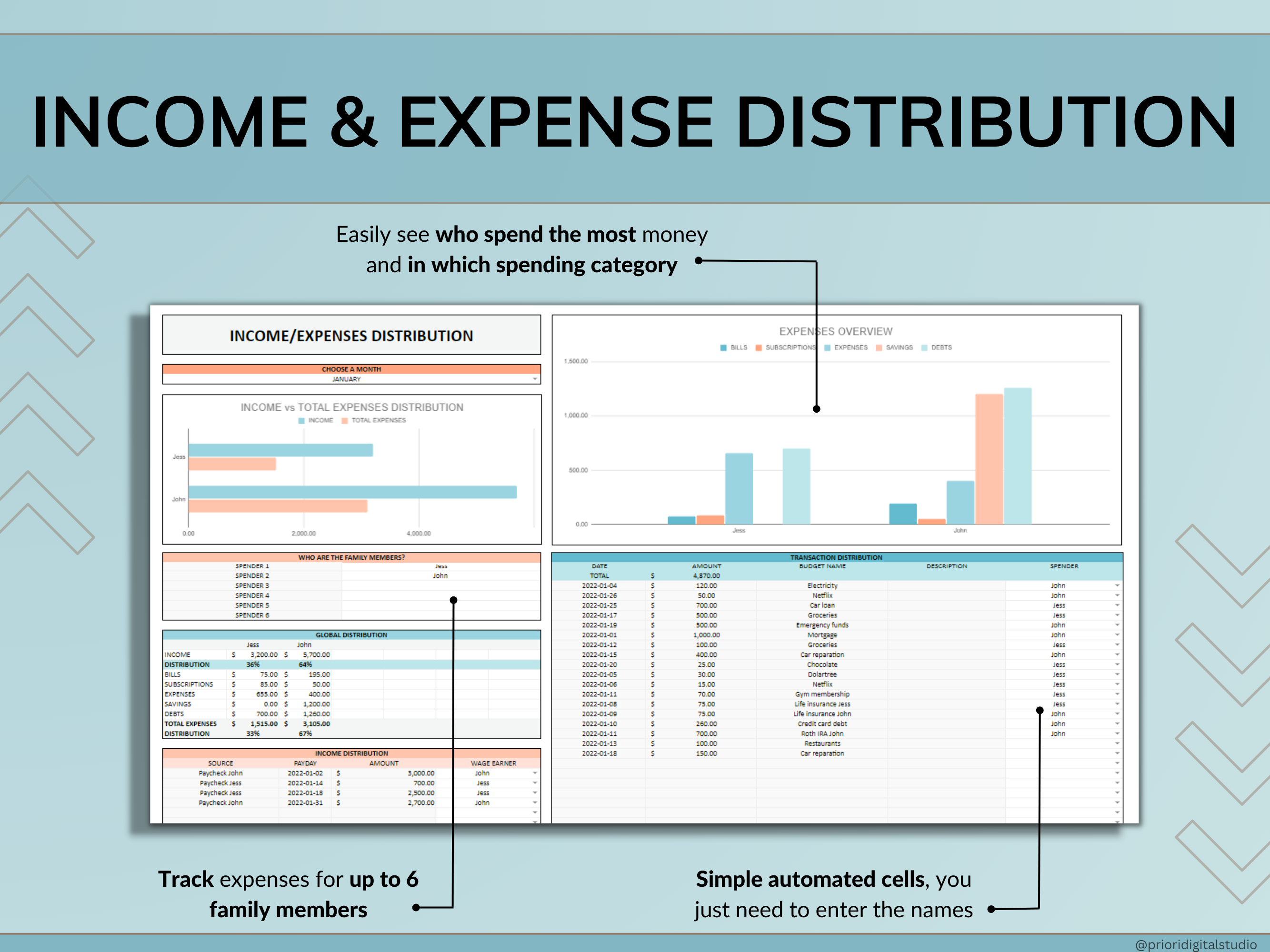 Premium Annual Family Budget